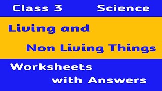 Living and Non Living Things | Class 3 Science Worksheet | Science Worksheet Grade 3