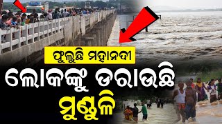 ଫୁଲୁଛି ମହାନଦୀ ଭୟଭୀତ ଲୋକେ  | Nirapekshya News