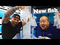 UNBOXING NEW FISH - Do you need AQUARIUM, BAGS or BOXES? WE GOT IT!