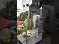 Smart Coconut Peeling Machine Skills