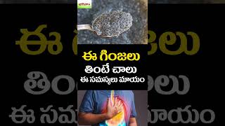 ఈ గింజలు తింటే చాలు  ఈ సమస్యలు రావు #ytshorts #sabjaseeds #telugu #healthytips #healthtips