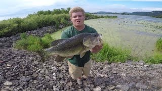 Big MN Bass Crushing Frogs!