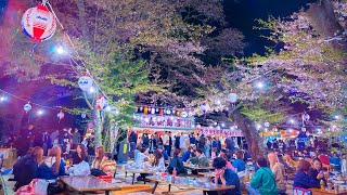 【お気に入り桜スポット】水戸偕楽園桜山の夜桜