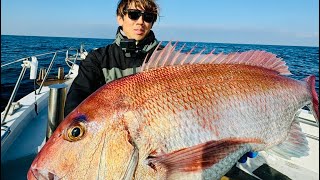 2024.11.14『 80オーバー捕獲,,』日本海×竹野 ディープタイラバ,, 82cm