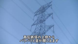 高圧鉄塔の上部から　電気のようなバリバリ音が聞こえる