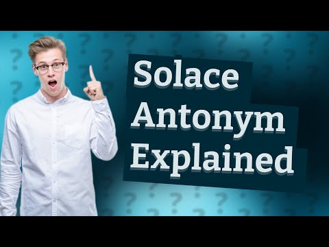 What is the antonym for solace?