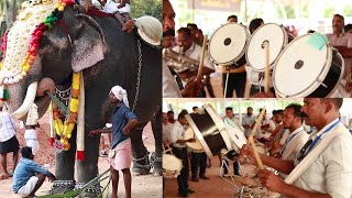 ബാൻഡ് മേളത്തിനൊപ്പം താളം പിടിക്കുന്ന ആന, അതിശയിപ്പിക്കുന്ന കാഴ്ച