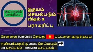 மனித இதயம் செயல்படும் விதம் மற்றும் பராமரிப்பு - the function of human heart and heart care