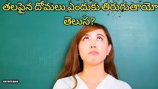 తలపైన దోమలు ఎందుకు తిరుగుతాయో తెలుస? |#intrestingfacts |RLM FACTS TELUGU