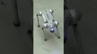 Say hello to "Pepe" – part K9, part cutting-edge tech!