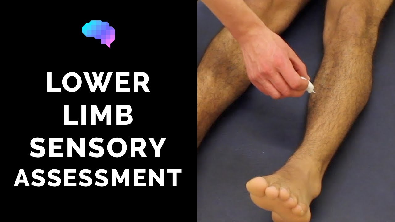 Sensory Assessment Of The Lower Limbs - OSCE Guide (Clip) | UKMLA ...