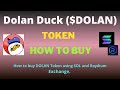 How to Buy Dolan Duck (DOLAN) Token Using Raydium Exchange