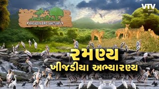 Jamnagar News:ખીજડિયા બન્યું સ્વર્ગ સમાન, દેશ-વિદેશના પક્ષીઓ મહેમાન બનતા ખીલી ઉઠ્યું અભ્યારણનો નજારો