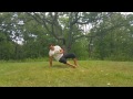 simple ground based movement flow