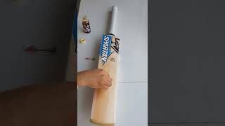 😍SPARTAN SIKANDER DAVID WARNER EDITION BAT🏏 UNBELIEVABLE POWER⚡