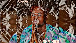 S.james - Naka Ne Mp3