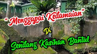 🔴 MENGGAPAI KEDAMAIAN DISENDANG KASIHAN BANTUL ☑️