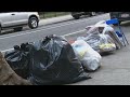 New NYC rule aims to tackle rat problem by delaying trash pickup