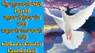 ਅੱਸੂ ਕਬੂਤਰਬਾਜ਼ੀ 2021Part 8 ਕਬੂਤਰ ਦੀ ਉਡਾਰ ਘਟ ਜਾਣਾ कबूतर उड़ान कम हो जाने पर kabutar ki udan badhana