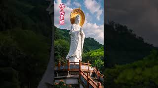 南無阿彌陀佛 許個願吧 心誠則靈 有求必應 #南無阿彌陀佛 #NamoAmitabha #나모아미타불 #南無阿弥陀仏 #नमोअमिताभ #修心 #佛 #shorts #佛教