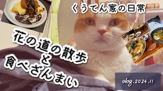 【散歩】兵庫県宝塚市花の道散歩/40代主婦/南大阪おススメランチ/猫との暮らし