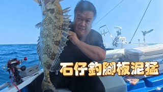 季節限定 • 石仔釣腳板泥猛  #fishing #釣魚  #石仔排 #泥猛 #手絲釣魚  #紅鮋 #雞魚 #西貢金毛 #船釣 #外海