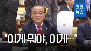 '인쇄물에 성의가 없다'…정갑윤, 법사위 국감서 검찰 직원 질타 / 연합뉴스 (Yonhapnews)