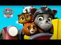 It's Raining Cats and Dogs! - PAW Patrol Episode - Cartoons for Kids Compilation