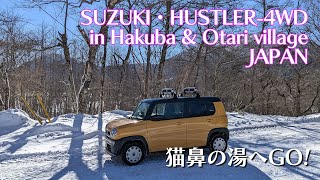 2023 Winter , Hakuba \u0026 Otari village - JAPAN　SUZUKI - HUSTLER660 4WD