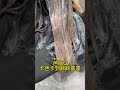 仙女粉棕色上線了 粉棕色 染髮 台中髮廊 台中漂髮 hair color