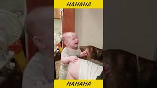 Funny Baby Videos | Cute baby laugh with dog | #short #shorts #baby #babies #funny