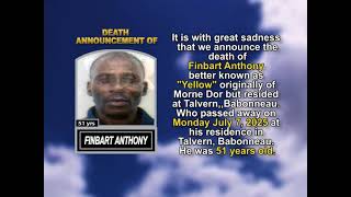 Finbart Anthony short