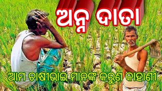 ଅନ୍ନଦାତା  ଆମ ଚାଷୀଭାଇ ମାନଙ୍କ କରୁଣ କାହାଣୀ