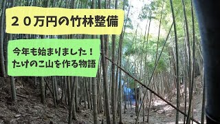 【２０万円の竹林整備】まずは道と間伐　１