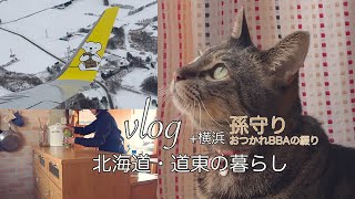 限界集落から孫守りのため長距離移動BBAの綴り『vlog北海道・道東の暮らし+横浜』Life in Hokkaido, Japa