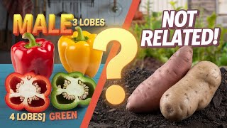 10 Mind-Blowing Facts About Vegetables You Never Knew! | Facts 444