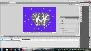 ActionScript 2 0 to ActionScript 3 0