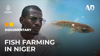 A budding fish farmer in Niger I Africa Direct Documentary