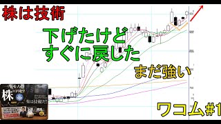 株は技術　もの別れ後の再上昇を狙ってみた　ショットガン投資法　ワコム#1　〔第997回〕