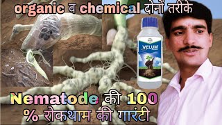 nematode control/nematode control organic/velum prime bayer/nematode ki dawa/nematodes in hindi