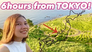 NOTO・ISHIKAWA🇯🇵 Go to the Hidden Rice Terrace in Wajima🌾✨ It's 2 hrs from Kanazawa🚌 Japan vlog