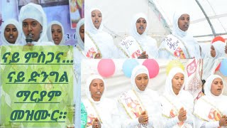 ስገዱላታ.2012-ግእዝ/2020-ፈረንጂ/ መዝሙር ብመዘምራን ደቂቀ ሊባኖስ፡ ( ስግዱላታ ንማርያም) ብምኽንያት ክብረ በዓል ኣቡነ ሊባኖስ.3ተ-ጥሪ።