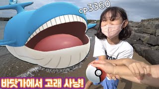 vlog 바닷가에서 고래사냥 했어요! 포켓몬고 라임가족 국내여행 브이로그 Let's go travel on jeju island