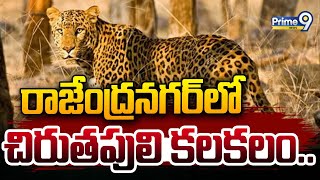 రాజేంద్రనగర్ లో చిరుతపులి కలకలం.. | Tiger Roaming On Rajendra Nagar Ranga Reddy District | Prime9