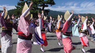 京都・嵐山（嵐山公園中ノ島地区広場 ）　阿波踊り　組み踊り・輪踊り（徳島市阿波おどり振興協会の選抜連）　Awa-odori (Awa dance) in Arashiyama, Kyoto