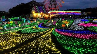 【東京ドイツ村】カートに乗ってウィンターイルミネーションを