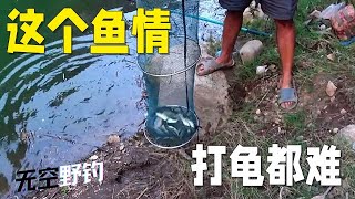 【無空野釣】就這個魚情，想打龟都難 #探险 #户外 #钓鱼生活 #钓鱼高手 #钓鱼分享 #钓鱼佬 #大鱼