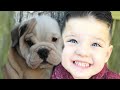 Christmas Puppy Surprise! Caleb Plays Outside with New Puppy!