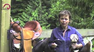 Horse Hoof Problems Solved with Hoof Boots