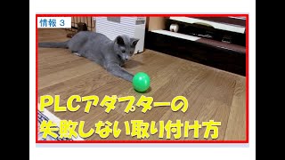 猫、ＰＬＣアダプターの付け方を解説する　（20220725　Yuri san　Cat explains how to attach a PLC adapter）